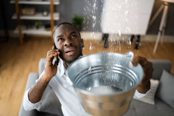 Best Basement water damage restoration  in Olive Hill, KY