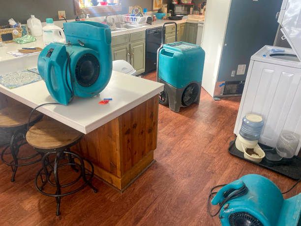Best 24/7 water damage repair  in Olive Hill, KY