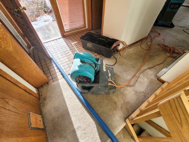 Best Commercial water damage restoration  in Olive Hill, KY