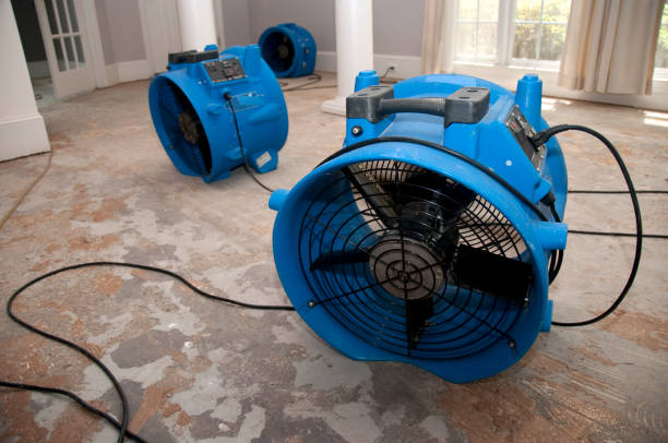 Best Commercial water damage restoration  in Olive Hill, KY