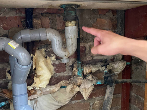 Best Emergency water damage restoration  in Olive Hill, KY