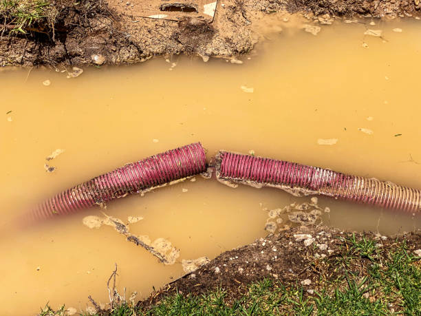 Professional Water damage restoration in Olive Hill, KY
