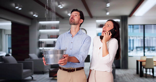 Water damage restoration experts in Olive Hill, KY